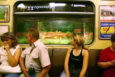 videotonnel1